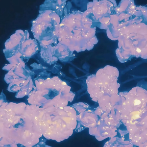 99精品视频在线观看
