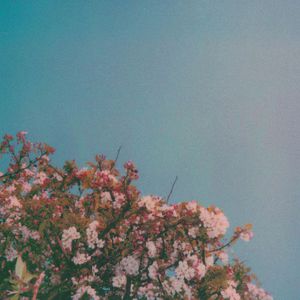 99精品视频在线观看
